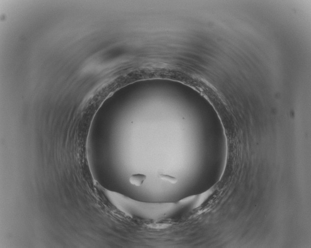 X0000073700919200608101809