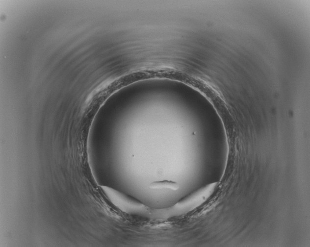 X0000073700920200608101809