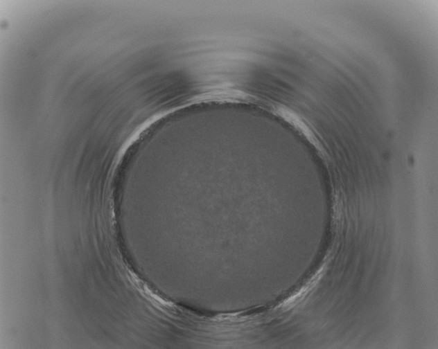 X0000073700923200608101809