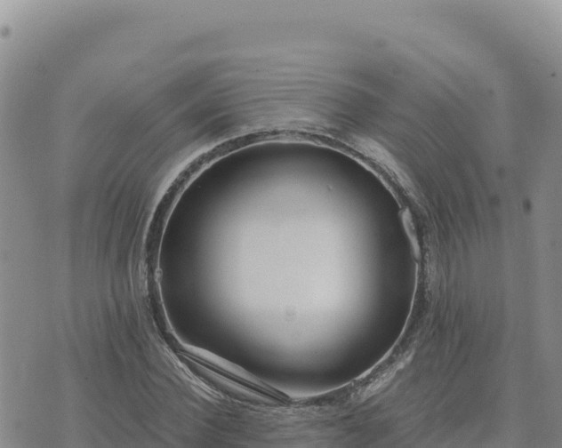 X0000073700924200608101810