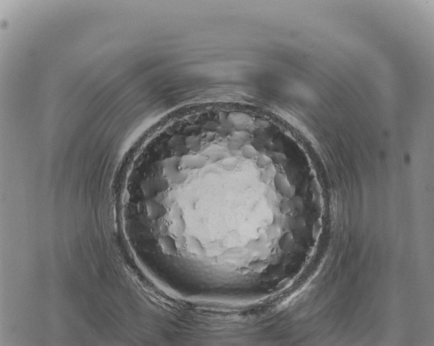 X0000073700925200608101810