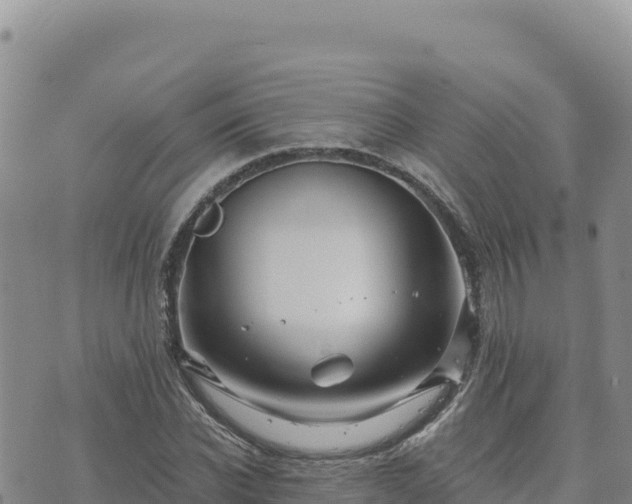 X0000073700926200608101810