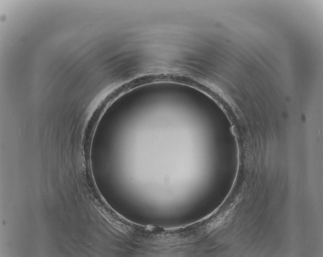 X0000073700927200608101810