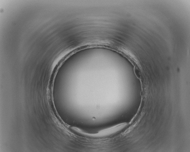 X0000073700928200608101810