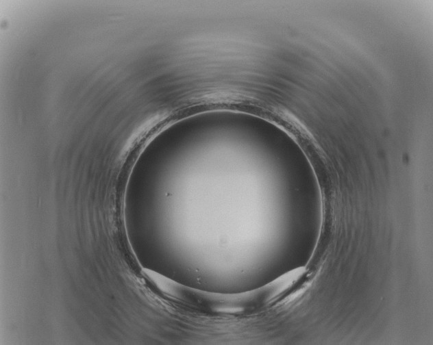 X0000073700930200608101810