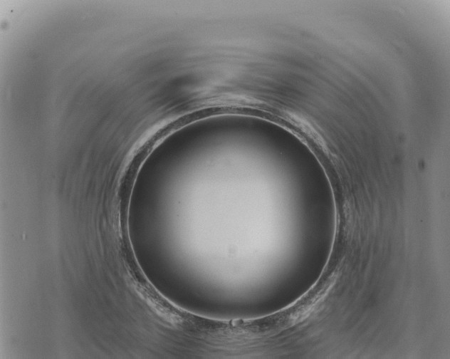 X0000073700931200608101810