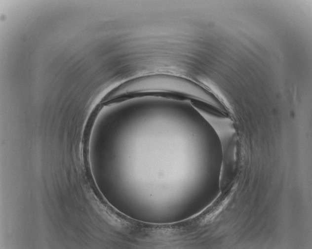 X0000073700932200608101810