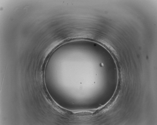 X0000073700933200608101810