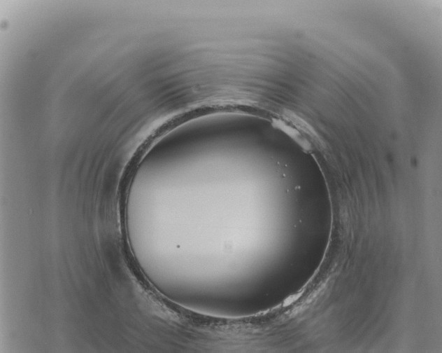 X0000073700934200608101810