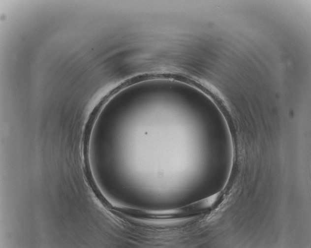 X0000073700935200608101810