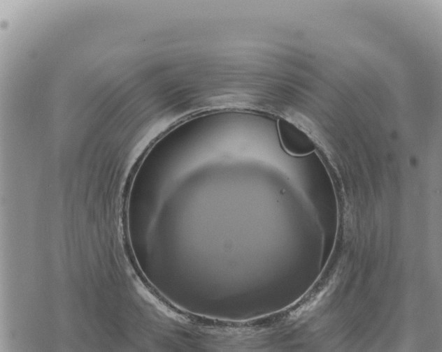 X0000073700941200608101810