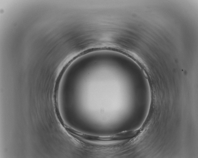 X0000073700943200608101810