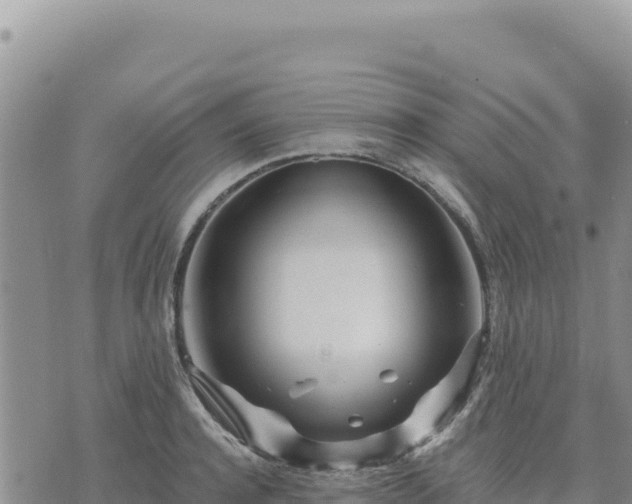 X0000073700944200608101810