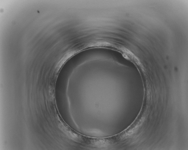 X0000073700945200608101810