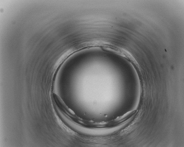 X0000073700946200608101810