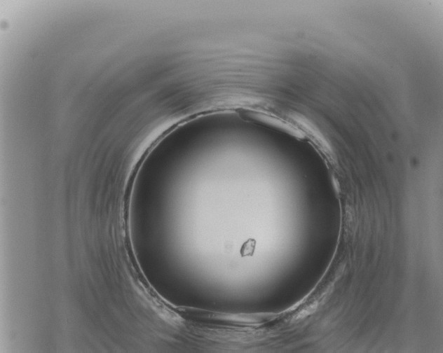 X0000073700948200608101810