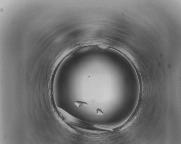 X0000073700949200608101810