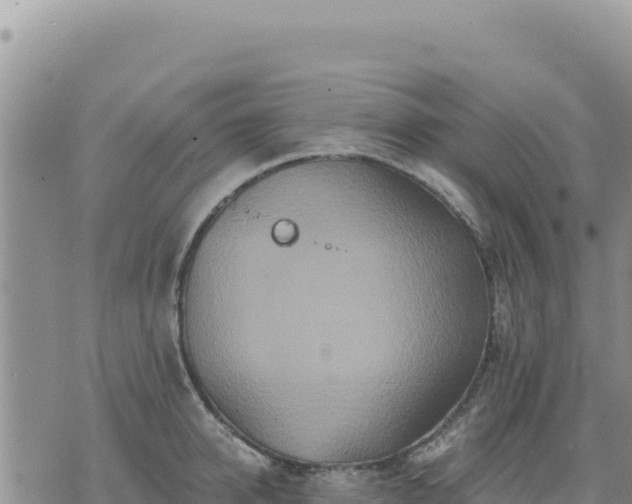 X0000073700950200608101810