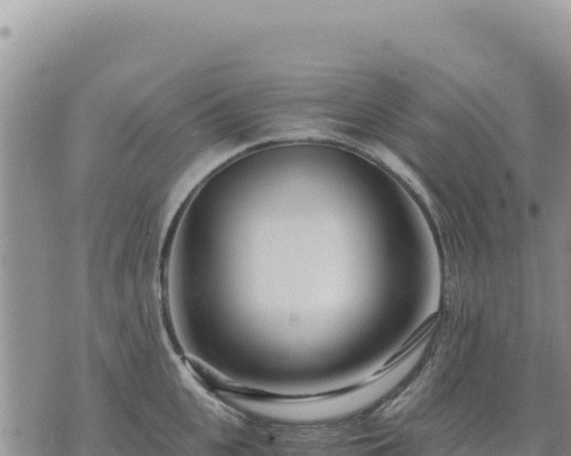 X0000073700951200608101810