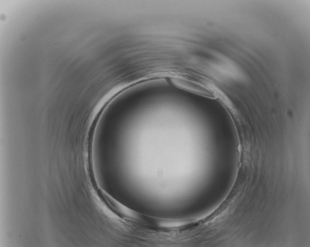 X0000073700955200608101810