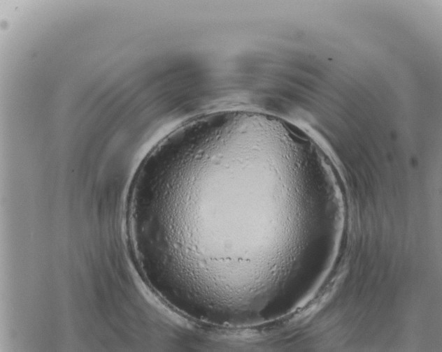 X0000073700957200608101810