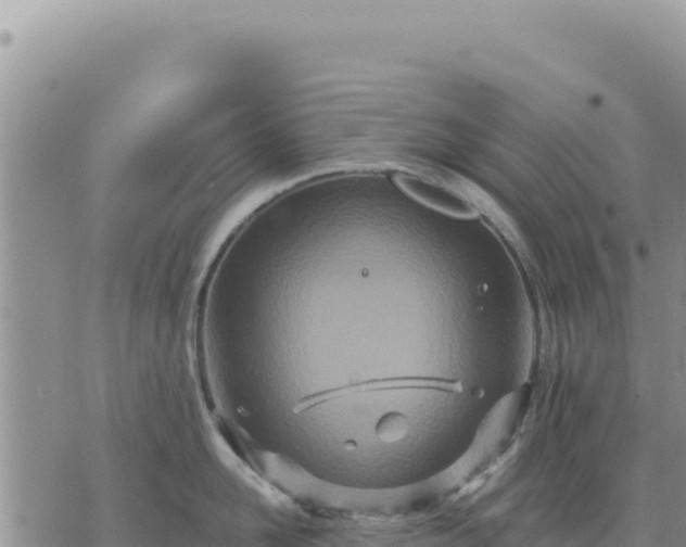 X0000073700958200608101810