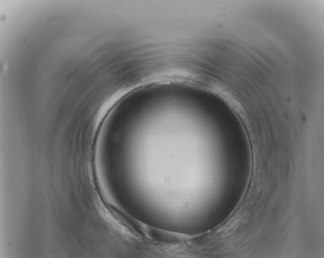 X0000073700960200608101810