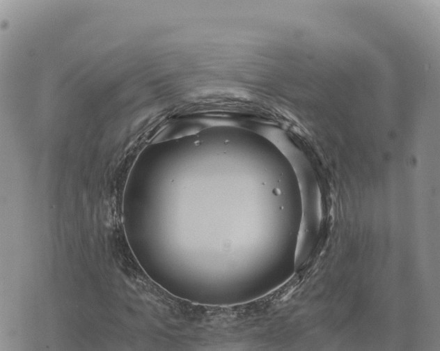 X0000073700965200608101809