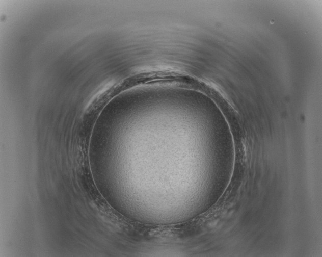 X0000073700967200608101809