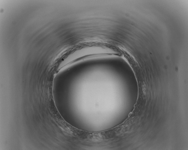 X0000073700968200608101809