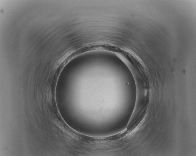 X0000073700969200608101809