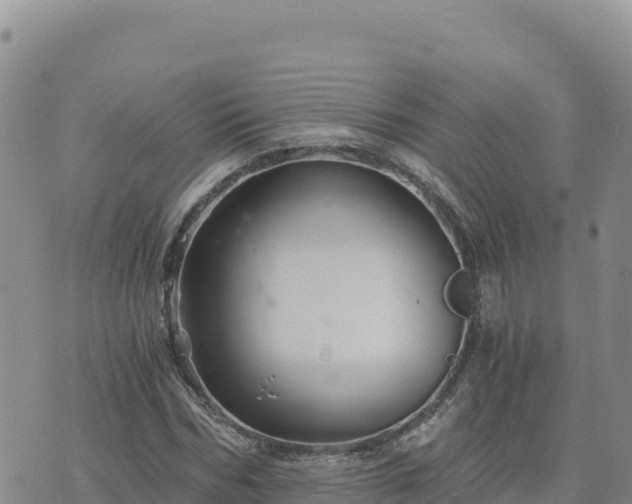 X0000073700970200608101809