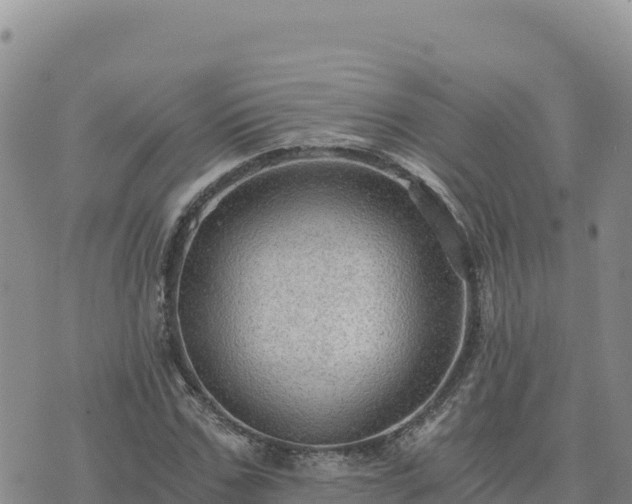 X0000073700971200608101809