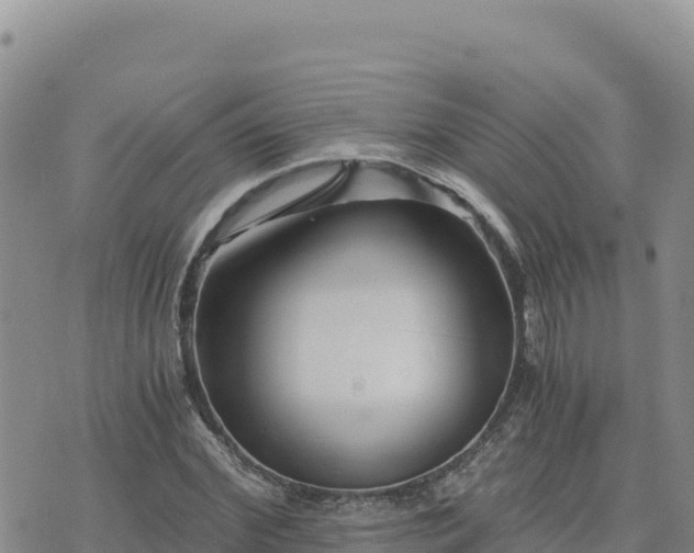 X0000073700972200608101809