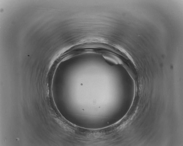 X0000073700973200608101809