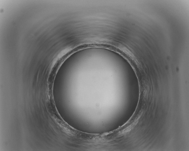 X0000073700974200608101809