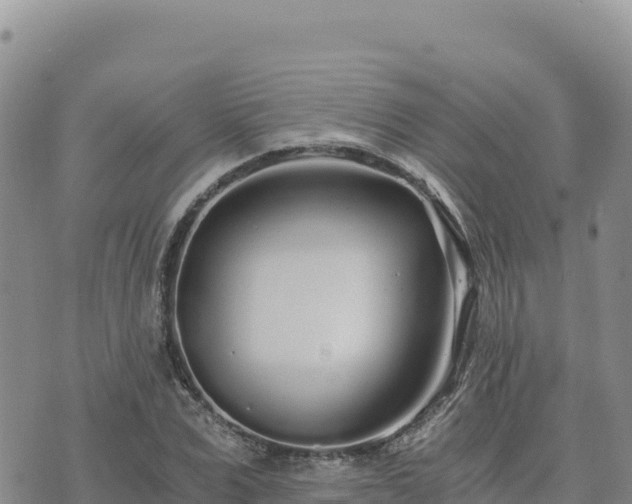 X0000073700975200608101809