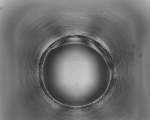 X0000073700976200608101809