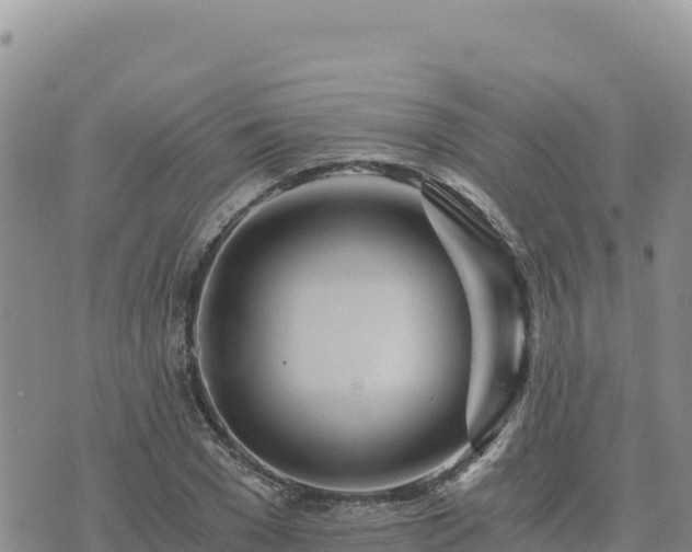 X0000073700977200608101809