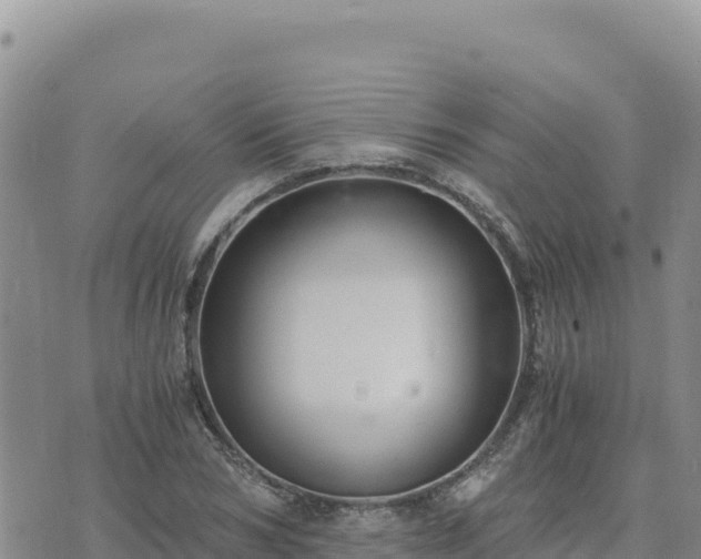 X0000073700978200608101809