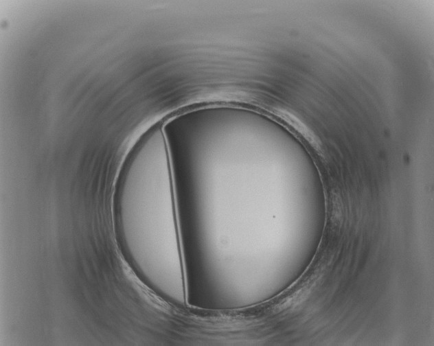 X0000073700980200608101809