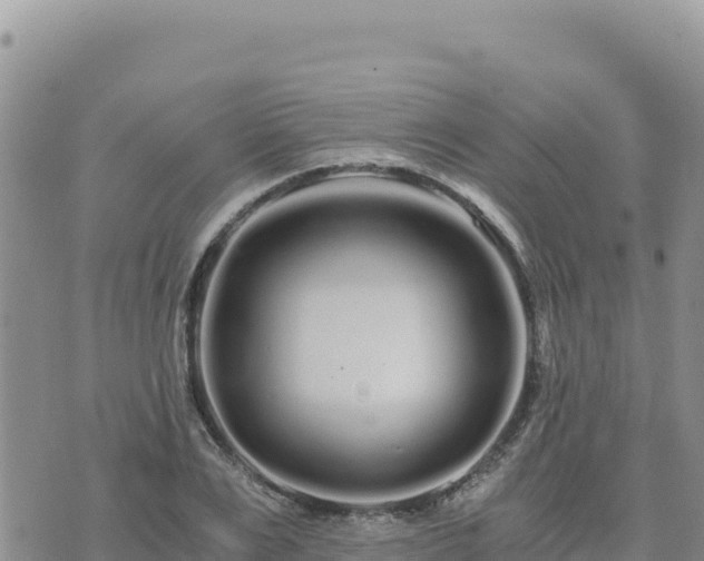 X0000073700983200608101809