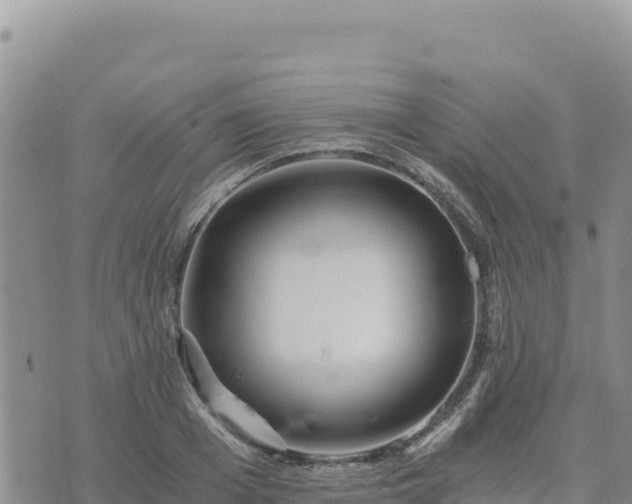 X0000073700985200608101809