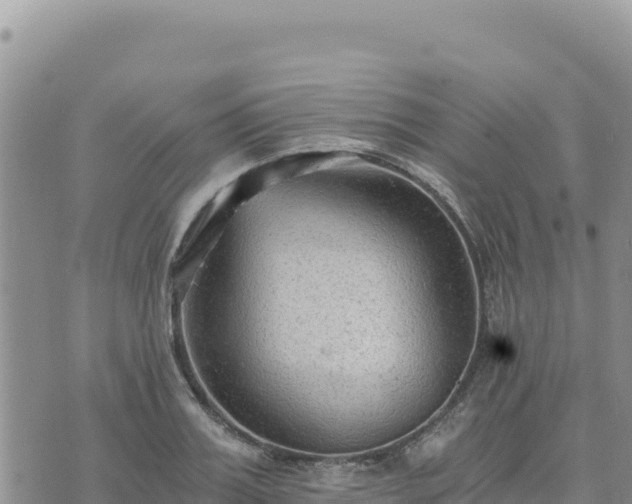 X0000073700987200608101809