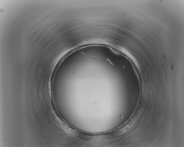 X0000073700988200608101809