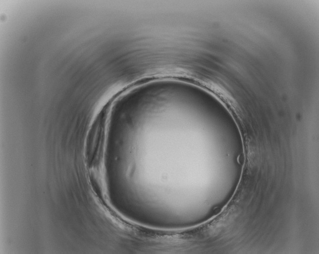 X0000073700990200608101809