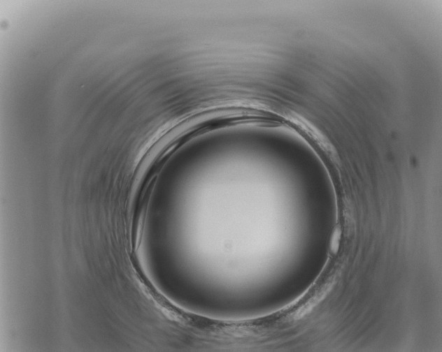 X0000073700993200608101809