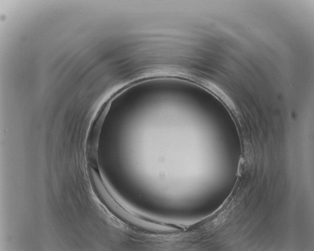 X0000073700996200608101809