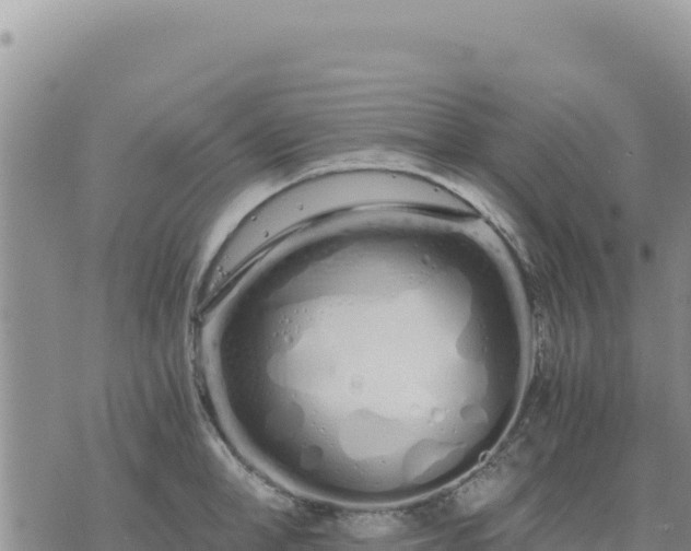 X0000073700998200608101809