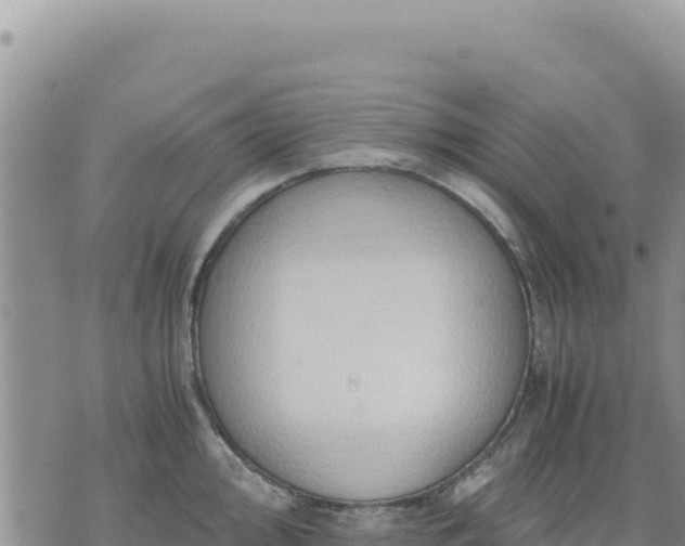 X0000073701000200608101809